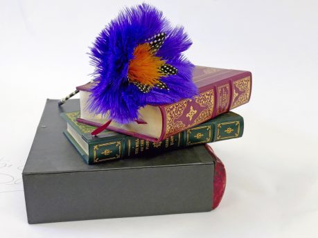 Pen with dyed orange and purple Ostrich feathers
