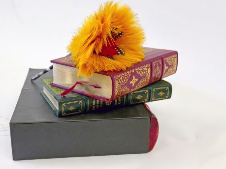 Pen with dyed yellow and red Ostrich feathers