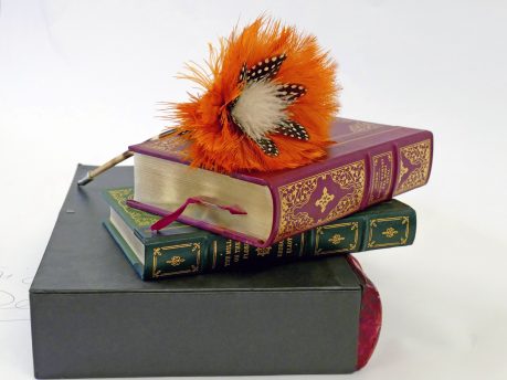 Pen with dyed orange and white Ostrich feathers
